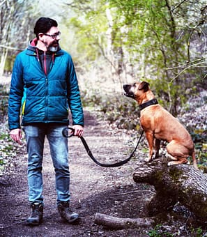 Einzeltraining & Verhaltensberatung für Hunde