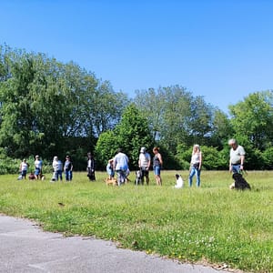 IMG_20210613_160204