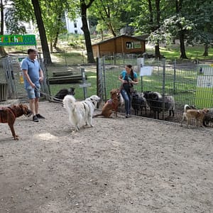 IMG_20210912_143941