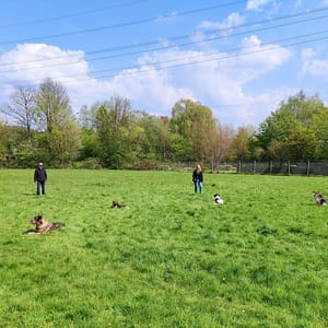 IMG_20220424_142940