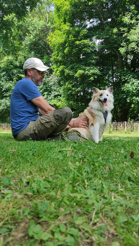aufgeregten Hund unterstützen