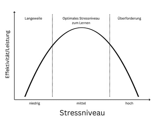 Zusammenhang zwischen Stress und Lernen