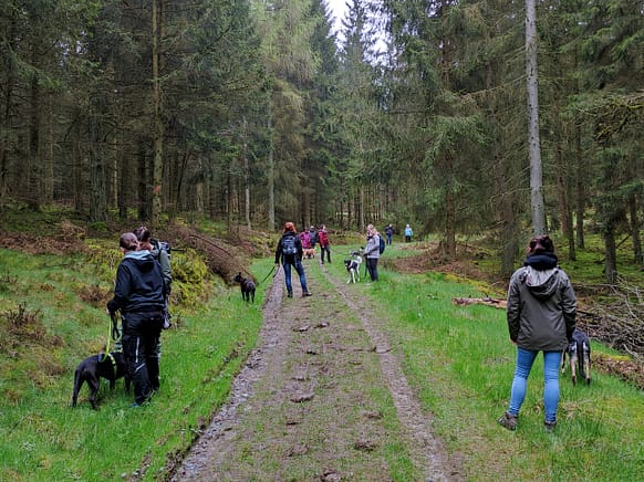 Social-Walk in Kalterherberg