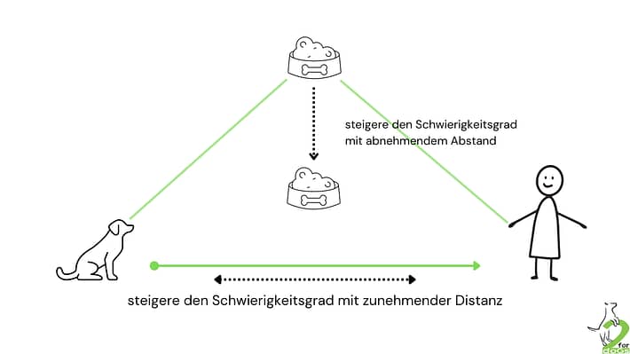 Impulskontrolle beim Hund - einfache Übungen