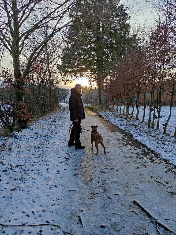 Entspannt spazieren mit Hund in der Eifel